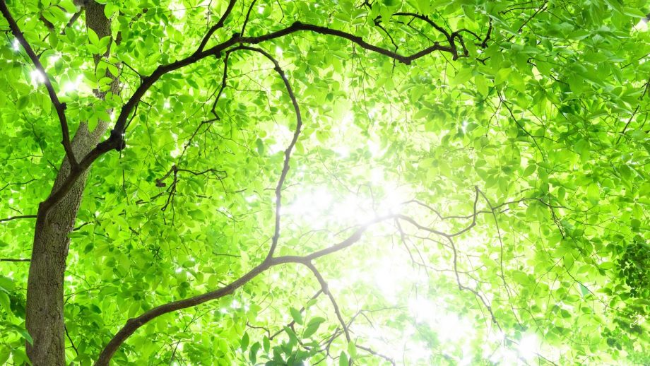 新作『木漏れ陽』が与えてくれた、小説家としての確かな手応え