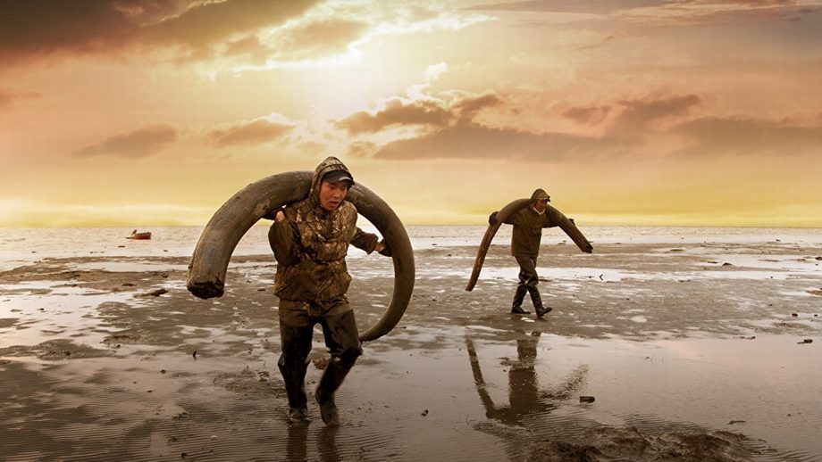 絶滅したマンモスを現代に甦らせようとする男たち　倫理観を揺さぶるドキュメンタリー作品『ジェネシス2.0 よみがえるマンモス』