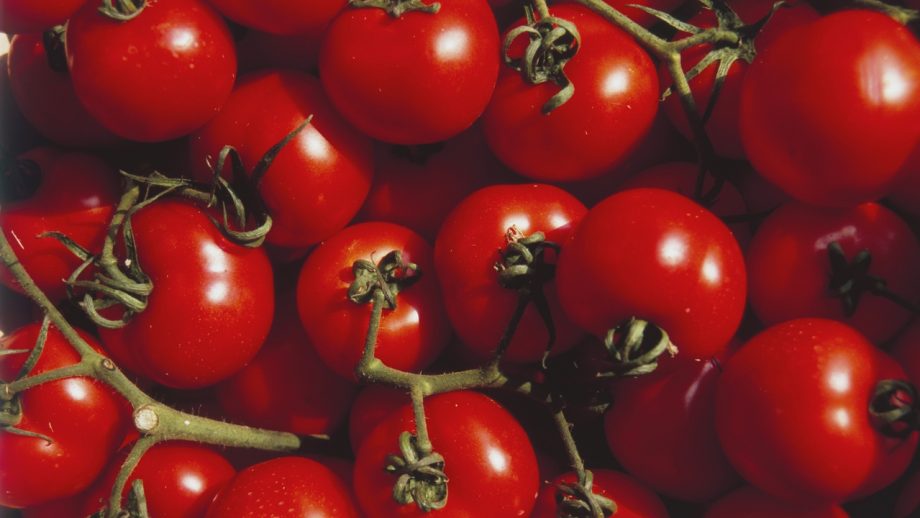 「何にでもケチャップ」の米国に忍び寄る「トマト危機」の恐怖