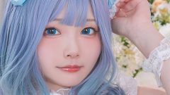 ひめこ、青猫の花園