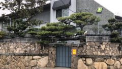 けんけん、攻めすぎた自撮り