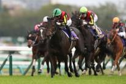 【永久保存版】“競馬の祭典”日本ダービーで儲ける方法! 注目の武豊は消し? ディープインパクト級の隠れ穴馬が出走?の画像1
