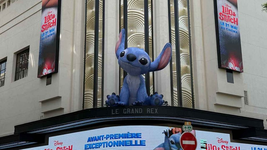 ヤングケアラーを題材にした『リロ＆スティッチ』　児童虐待と動物虐待はリンクするか？