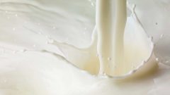 「牛乳って注げば全部白いじゃないですか」…これまで飲んだ牛乳は700種類！　ミルクマイスター高砂が語るミルクの魅力
