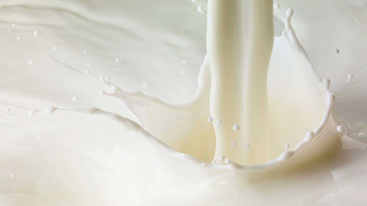 「牛乳って注げば全部白いじゃないですか」…これまで飲んだ牛乳は700種類! ミルクマイスター高砂が語るミルクの魅力の画像1