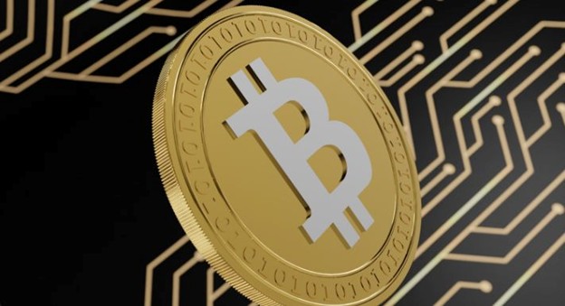 著名人の仮想通貨の投資事例を解説の画像1