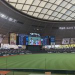 20250711-cyzoonline-column-bellunadome