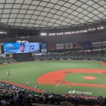 20250724-cyzoonline-column-bellunadome