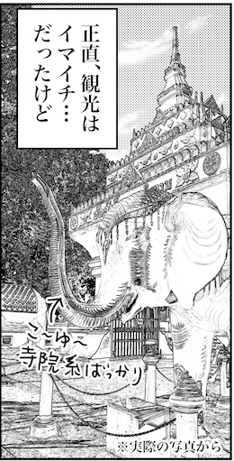 【46歳ミドフォー婚活ルポ】ラオス旅行記の画像5