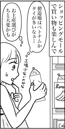 【46歳ミドフォー婚活ルポ】ラオス旅行記の画像8