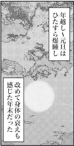 【46歳ミドフォー婚活ルポ】身体の衰えも感じた年末の画像8