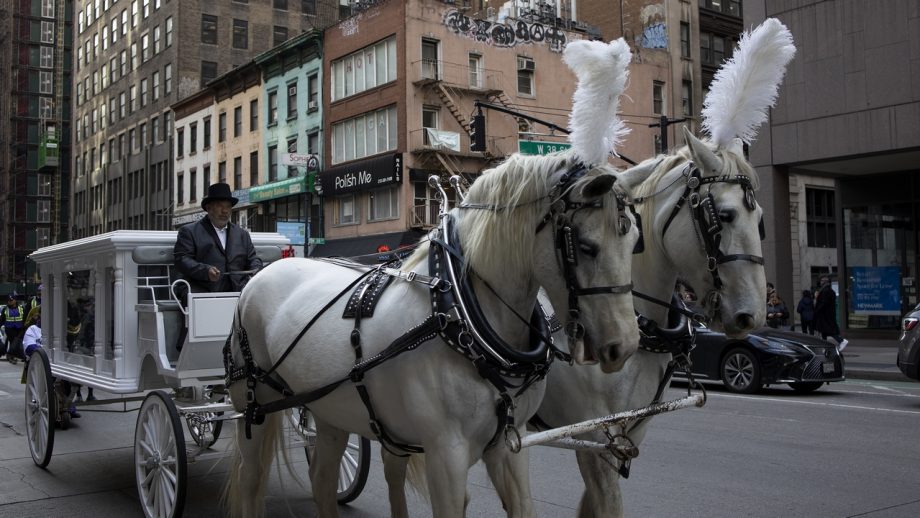 馬車が走る大都市ニューヨーク　市民の安全や動物愛護より優先される「政治的事情」