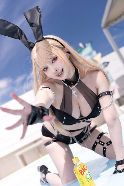 シスル、開放の夏バニーの画像2