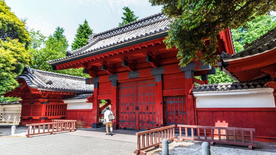 「Fラン大学」と無縁な駿台「東大合格者数発表取りやめ」は戦略的転換か