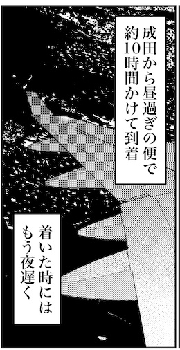 【46歳ミドフォー婚活ルポ】インド旅行記①とっとと寝るかの画像3