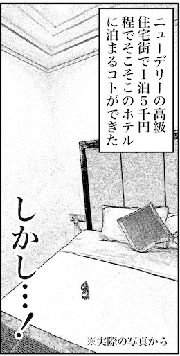 【46歳ミドフォー婚活ルポ】インド旅行記①とっとと寝るかの画像5