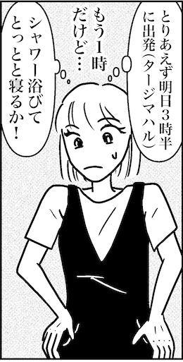 【46歳ミドフォー婚活ルポ】インド旅行記①とっとと寝るかの画像6