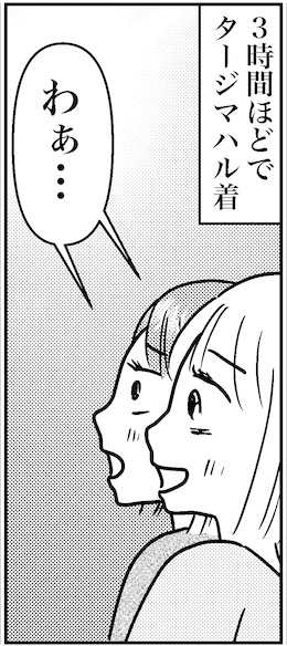 【46歳ミドフォー婚活ルポ】インド旅行記③コレもインドの洗礼？の画像6