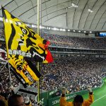20250924-cyzoonline-column-tigers-pic01