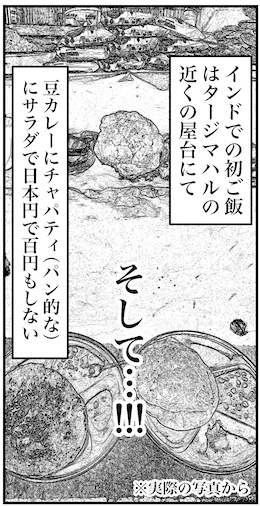 【46歳ミドフォー婚活ルポ】インド旅行記④の画像6