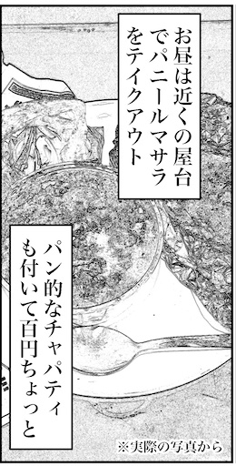 【46歳ミドフォー婚活ルポ】インド旅行記⑧ニューデリーは普通に都会の画像4