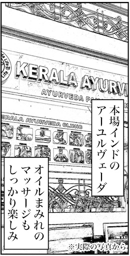 【46歳ミドフォー婚活ルポ】インド旅行記⑧ニューデリーは普通に都会の画像8