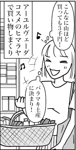【46歳ミドフォー婚活ルポ】インド旅行記⑧ニューデリーは普通に都会の画像9