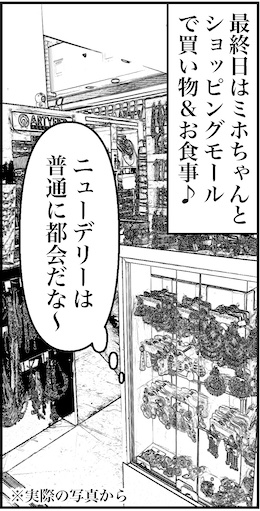 【46歳ミドフォー婚活ルポ】インド旅行記⑧ニューデリーは普通に都会の画像11