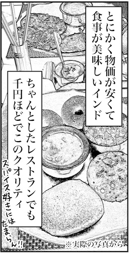 【46歳ミドフォー婚活ルポ】インド旅行記⑤あいにくインドの禁酒日にの画像2