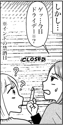 【46歳ミドフォー婚活ルポ】インド旅行記⑤あいにくインドの禁酒日にの画像4