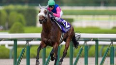 妻夫木聡、目黒連、松本若菜出演ドラマ効果で話題沸騰中！今週は大一番の天皇賞（秋）。まさかの大混戦で特大万馬券も！