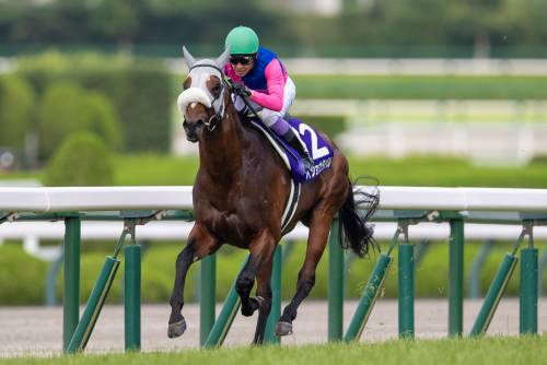 妻夫木聡、目黒連、松本若菜で話題!今週は大一番の天皇賞(秋)。まさかの大混戦で特大万馬券も!の画像1