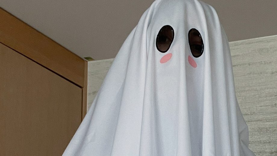 ネトーチカ、とんでもないオバケ