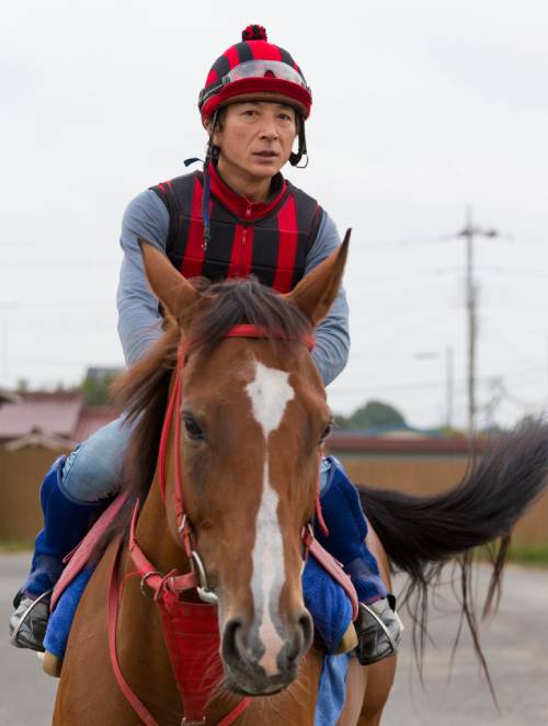 妻夫木聡、目黒連、松本若菜で話題!今週は大一番の天皇賞(秋)。まさかの大混戦で特大万馬券も!の画像2