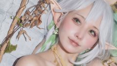 ティアラ「森に住むエルフ」