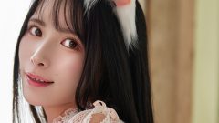 JILL‎｜子猫の糸玉と淡い夢