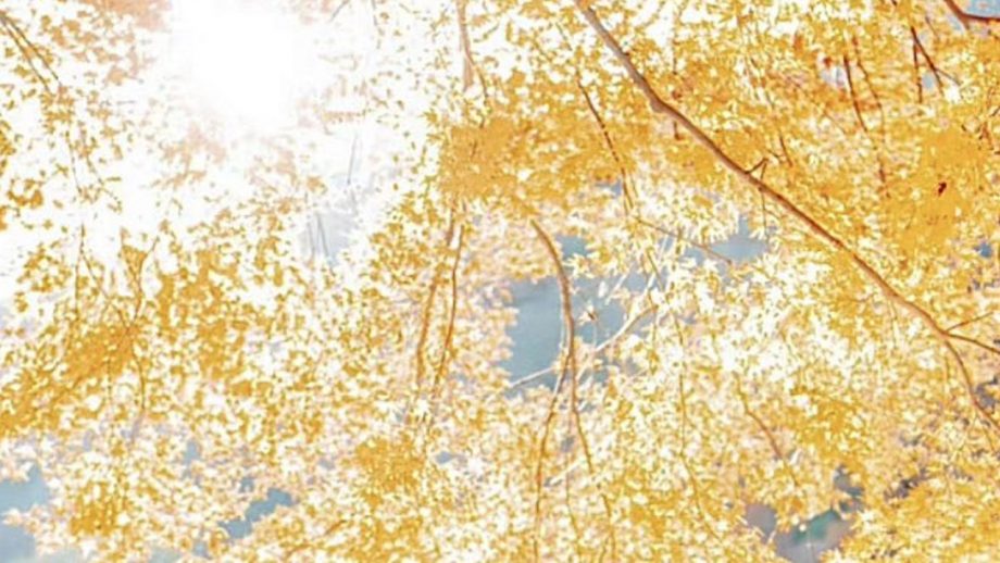 ayachamo「太ももは太くてなんぼ」