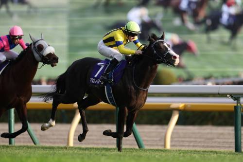 空前絶後の社会現象！今競馬の盛り上がりが凄い。ジャパンカップで押さえるべき最も重要なポイントとは!?の画像1