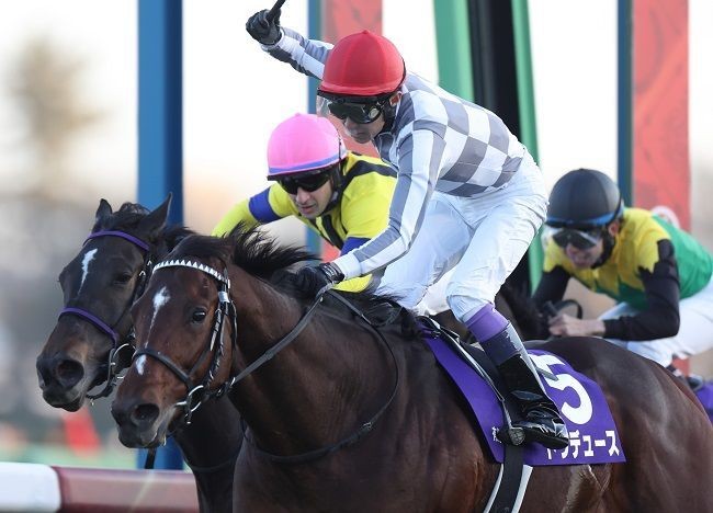 “興奮！感動！札束！”有馬記念で一石三鳥が現実になる!?の画像1