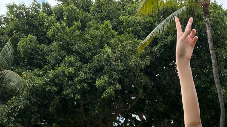 山田あい｜南風と小さな革命