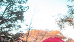 あいみ｜紅い風のナイスバディ