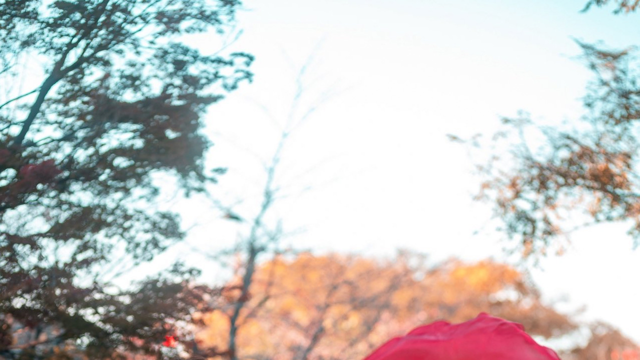 あいみ|紅い風をまとうの画像1