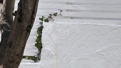 楠偉音｜揺れる余韻