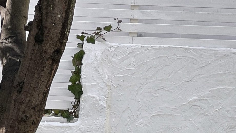 楠偉音｜揺れる余韻