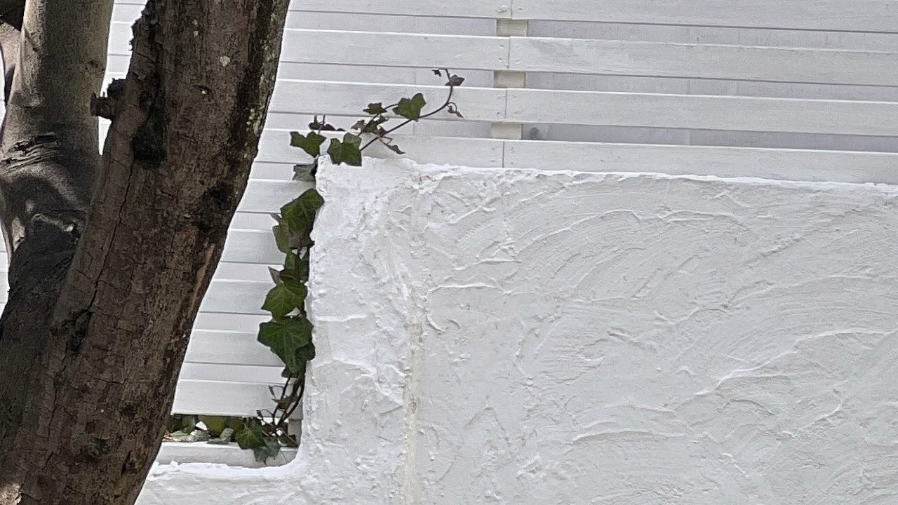 楠偉音｜赤い記憶の余韻の画像1