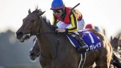 “感動！興奮！札束！”有馬記念で一石三鳥が現実になる!?