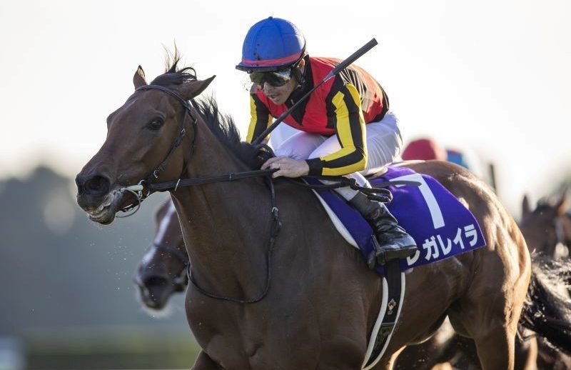 “感動！興奮！札束！”有馬記念で一石三鳥が現実になる!?