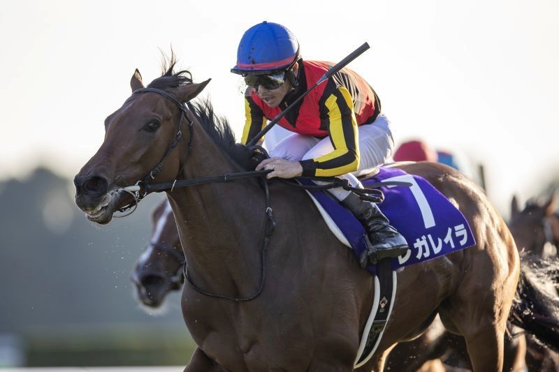 “興奮！感動！札束！”有馬記念で一石三鳥が現実になる!?の画像1