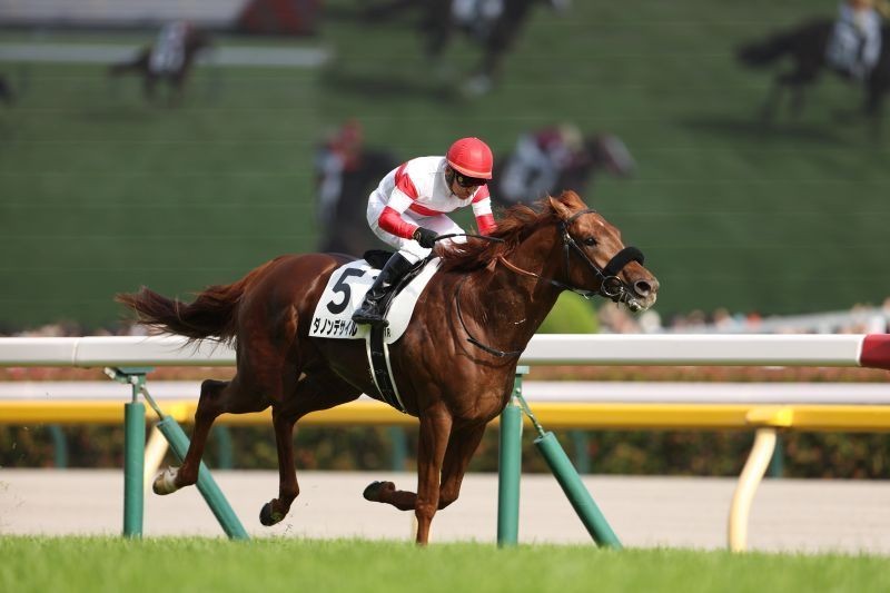 “興奮！感動！札束！”有馬記念で一石三鳥が現実になる!?の画像1