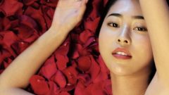 RINA TOEDA｜赤い花びらの夢